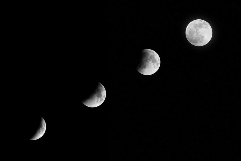 Moon Phase Cookies
